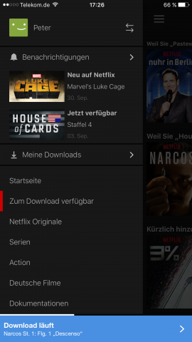 Die &Uuml;bersicht mit den Downloads ist &uuml;ber die Seitenleiste aufrufbar. (Screenshot: Golem.de)